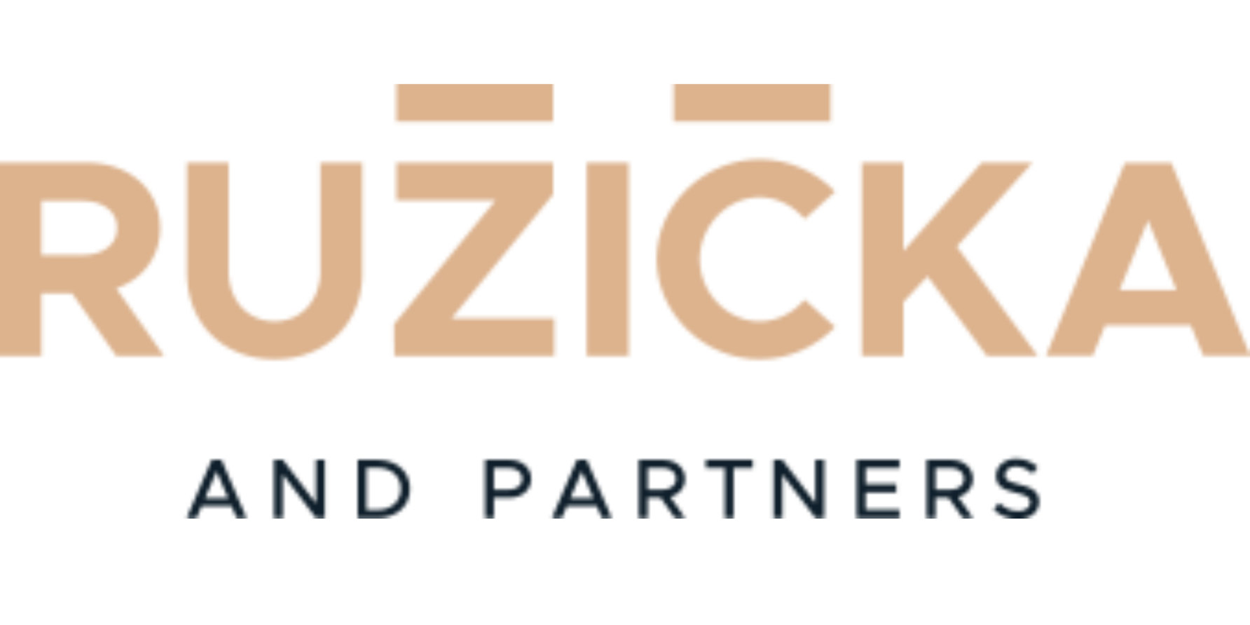 Ruzicka and Partners logo